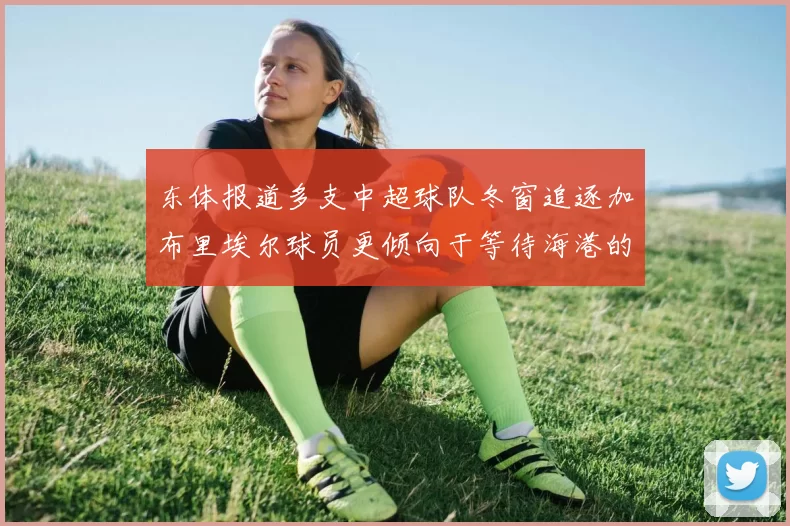 东体报道多支中超球队冬窗追逐加布里埃尔球员更倾向于等待海港的机会