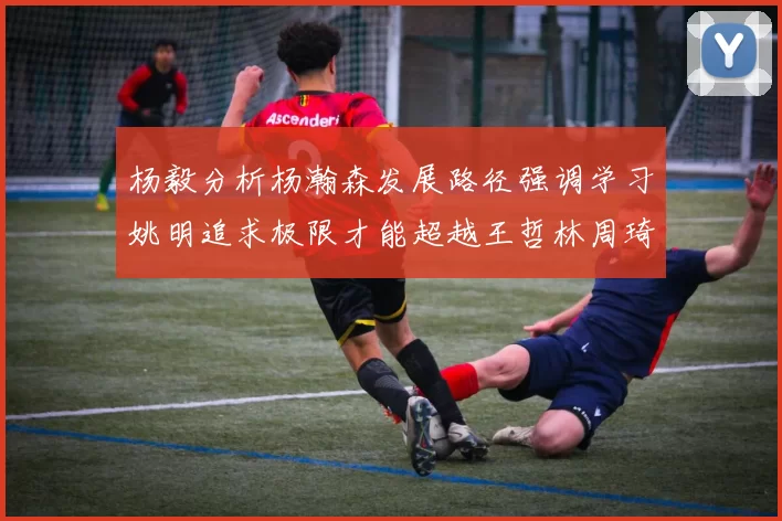 杨毅分析杨瀚森发展路径强调学习姚明追求极限才能超越王哲林周琦状态